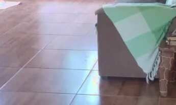 Imagem 3: Terreno Tipo Chácara com Casa e Pomar