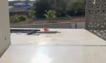 Imagem 12: Espetacular casa no Jardins Amsterdã - 1.9 milhões