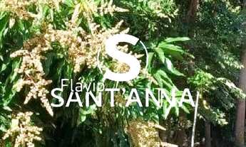 Imagem 4: VENDE-SE RANCHO INDIAPORA - SP