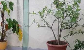 Imagem 13: Condomínio com 3 quartos à venda em Ponte Grande - SP