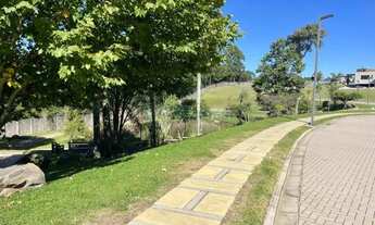 Imagem 13: Terreno Pedancino Caxias do Sul
