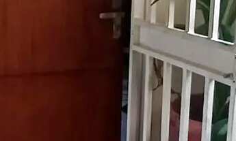 Imagem 9: Apartamento a venda no Vila Isa com 2 quartos luxo