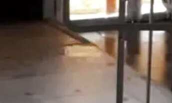 Imagem 5: PRÉDIO - VILA FORMOSA - SP