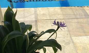 Imagem 7: Quarto por Diária