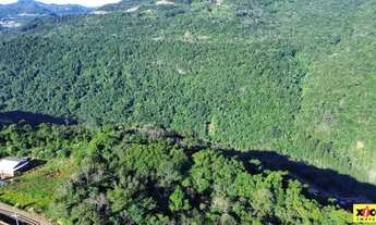 Imagem 3: Sítio / Chácara para Venda em Nova Petrópolis, Pinhal Alto