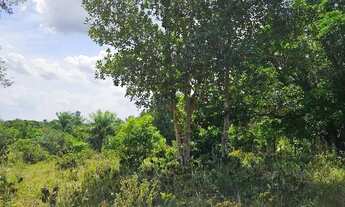 Imagem 4: Vendo sítio em Nazaré das farinha