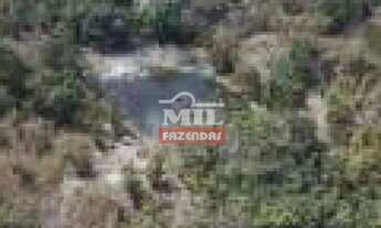 Imagem 2: Fazenda 45 alqueires (217,8 hectares) Araguapaz - Go