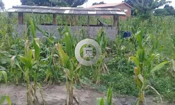 Imagem 4: Fazenda/Sítio/Chácara em Patis, no bairro Zona Rural, à venda