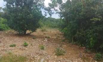 Imagem 2: Terreno próx ao Iranduba