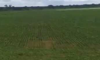 Imagem 2: Fazenda 413 Alqueires, 20 km da cidade; ??Casa sede em construção; ??Casa vaqueiro; ??Curr