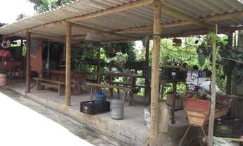 Imagem 4: Fazendinha 40 mil metros, riacho nos fundos, bala vista, Jaboticatubas