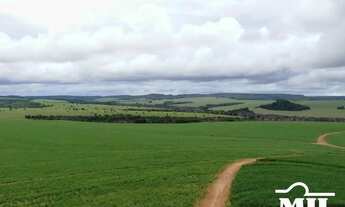 Imagem 7: Fazenda em Mineiros-GO. (208 Alqueires