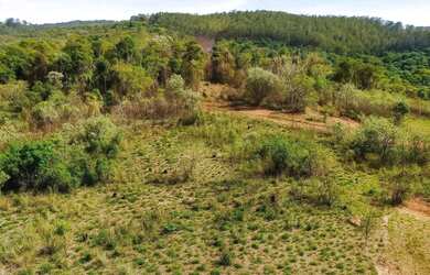 Imagem 7: Tranquilidade e Valorização: Terrenos no Novo Lançamento Exclusivo em Atibaia