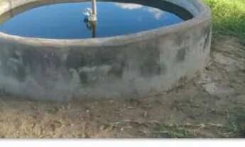 Imagem 6: Chácara 4.34 alq. em Americano do Brasil 1.700.000