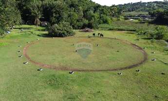 Imagem 2: Chácara dos Sonhos em Morada da Barra à Venda!