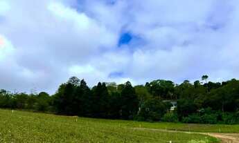 Imagem 4: LOTES DE 500M2 COM FÁCIL ACESSO EM COTIA