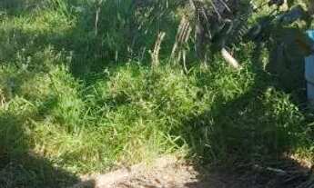 Imagem 4: Vendo lote em barramares