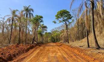 Imagem 7: Lotes 600m²: Localização Top!