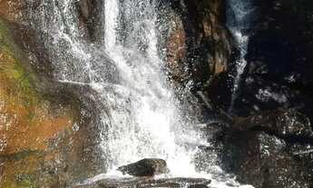 Imagem 2: Imóvel para venda possui 600 metros quadrados em Jardim Califórnia - Jacareí - SP