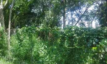 Imagem 3: Lote em Rua São Vicente - Granja Viana - Cotia/SP