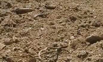 Imagem 6: CHACARA 5.400M2 Chácara com venda por R$35.000