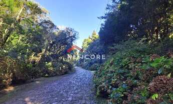 Imagem 7: Lote em Rua 21 - Alpes - São Francisco de Paula/RS