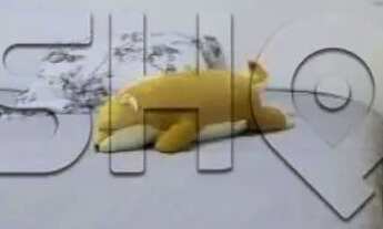 Imagem 6: Apartamento 3 quartos, 2 banheiros, 1 vaga em Perdizes, São Paulo