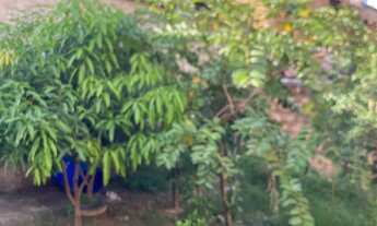 Imagem: Vendo um lote no Bairro jardim Teresópolis