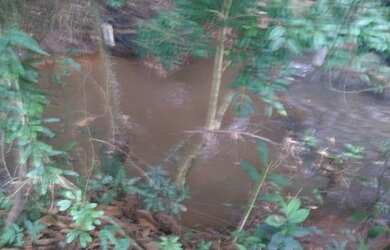 Imagem 9: Vc quer fazer plantio tenho um linda fazendinha de 20 mil m² com muita agua a 280 mil