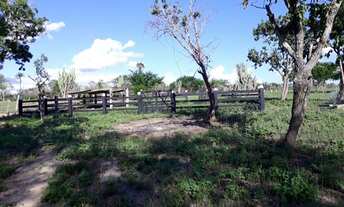 Imagem 2: Fazenda oportunidade