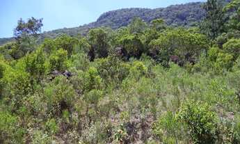 Imagem 5: TERRENO RESIDENCIAL em FLORIANÓPOLIS - SC, RATONES