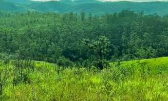 Imagem 7: Lote/Terreno para venda possui 600 metros quadrados em SOL NASCENTE- BAIRRO JARDIM AMERICA