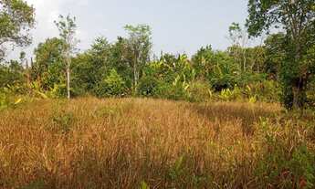 Imagem 6: Vende-se) Área com 461500 m² por R$ 400.000 - Br319 - Canutama/Amazonas