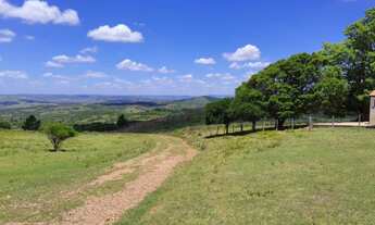 Imagem 4: R- 528 Oportunidade única vendo propriedade de 45 hectares em Piratini-RS