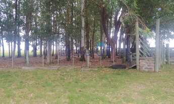 Imagem 3: Fazenda em Est. da Caieira - Mostardas