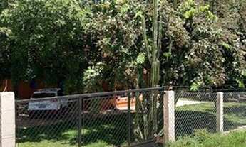 Imagem 4: Lindo sítio em General Salgado 26.5 alqueires