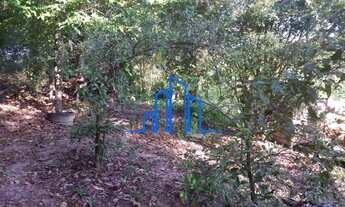 Imagem 7: Excelente terreno de 3200 mts