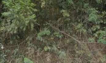 Imagem 5: Terreno 1000 Mts ( Pousada Do Vale ) Ac/ Permutas