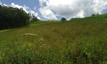 Imagem 4: Lote/Terreno para venda possui 1000 metros quadrados em Veloso - Osasco - SP