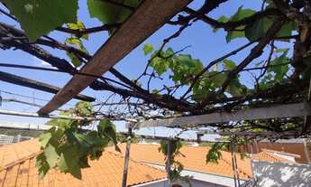 Imagem 4: Casa para alugar na melhor rua da região ( 10 minutos a pé do Metrô Jabaquara