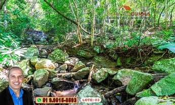 Imagem 4: Chácaras/Lotes de Terra à Venda em Igrejinha - RS