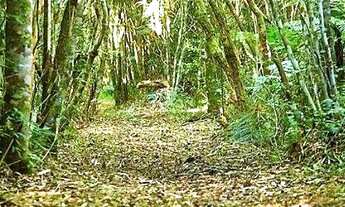 Imagem 5: Casa em Ibiraquera Imbituba - SC