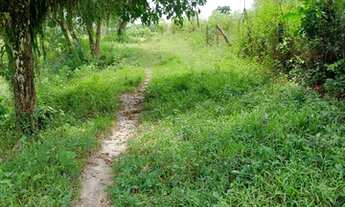 Imagem 3: Fazenda/Sítio/Chácara para venda, casa com 290 m², 3 qts., área útil, área total 4.483