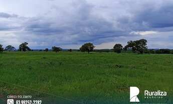 Imagem 7: Fazenda com alto potencial agrícola em Almas - TO