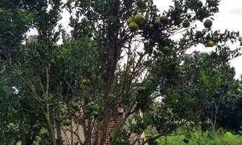 Imagem 7: Chácara para venda possui 99 metros quadrados com 3 quartos