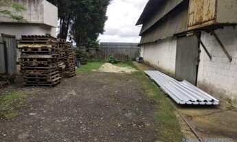 Imagem 6: GALPÃO - BATISTINI - SP