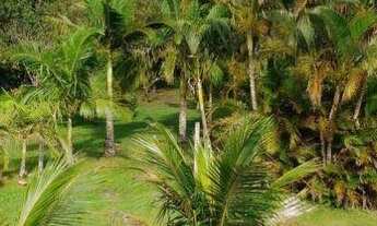 Imagem 6: Casa com 4 dormitórios para alugar, 350 m² por R$ 1.700,00/dia - Atami Norte - Pontal do P