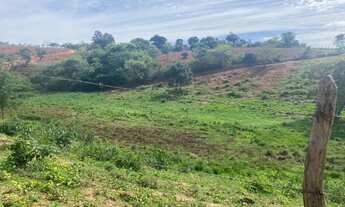Imagem 5: Fazenda/Sítio/Chácara para venda com 2000000 metros quadrados em Centro - Novorizonte - MG