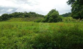 Imagem: Fazenda à venda, 900000 m² por R$ 4.000.000,00