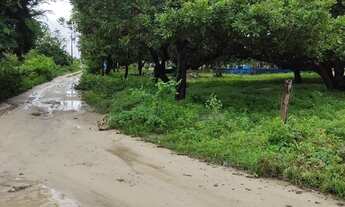 Imagem 7: Terreno para sítio de esquina, duas frentes 46 km Fortaleza